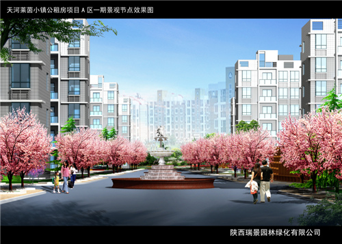 陜西雪松銷售 陜西雪松銷售